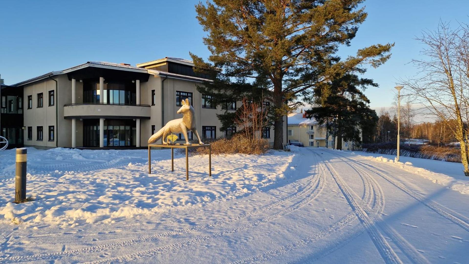 Majoitus Fox Hostel Kuopio Luaran gambar